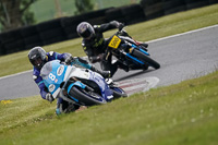 cadwell-no-limits-trackday;cadwell-park;cadwell-park-photographs;cadwell-trackday-photographs;enduro-digital-images;event-digital-images;eventdigitalimages;no-limits-trackdays;peter-wileman-photography;racing-digital-images;trackday-digital-images;trackday-photos